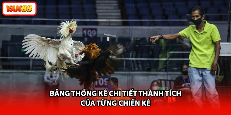 Bảng thống kê chi tiết thành tích của từng chiến kê